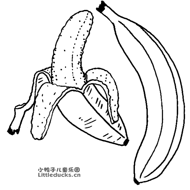 香蕉的简笔画图片23