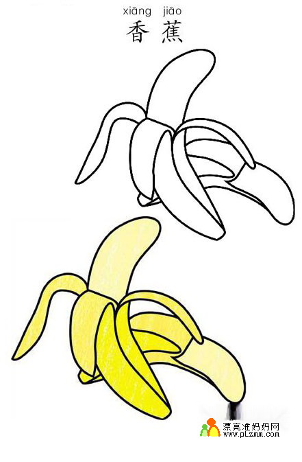 彩色香蕉的简笔画图片33