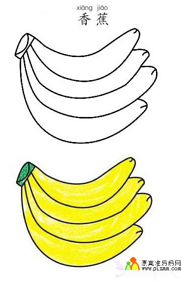 彩色香蕉的简笔画图片34