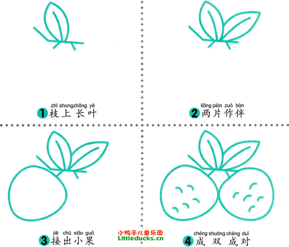 学画荔枝简笔画图片12