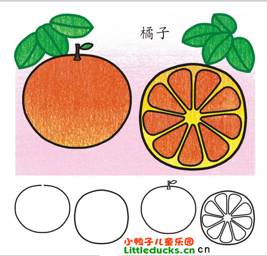 彩色桔子简笔画图片2