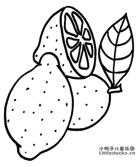 柠檬简笔画图片4