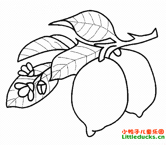 ʼʻͼƬȫ(9)-ʻˮ-СѼӶͯ.