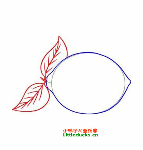 ʼʻͼƬȫ(17)- ʻ ˮ ʻ -С