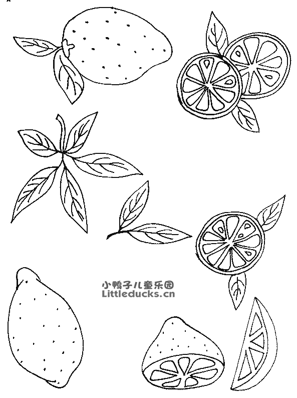 柠檬简笔画图片11