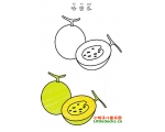 哈密瓜简笔画图片大全(3)