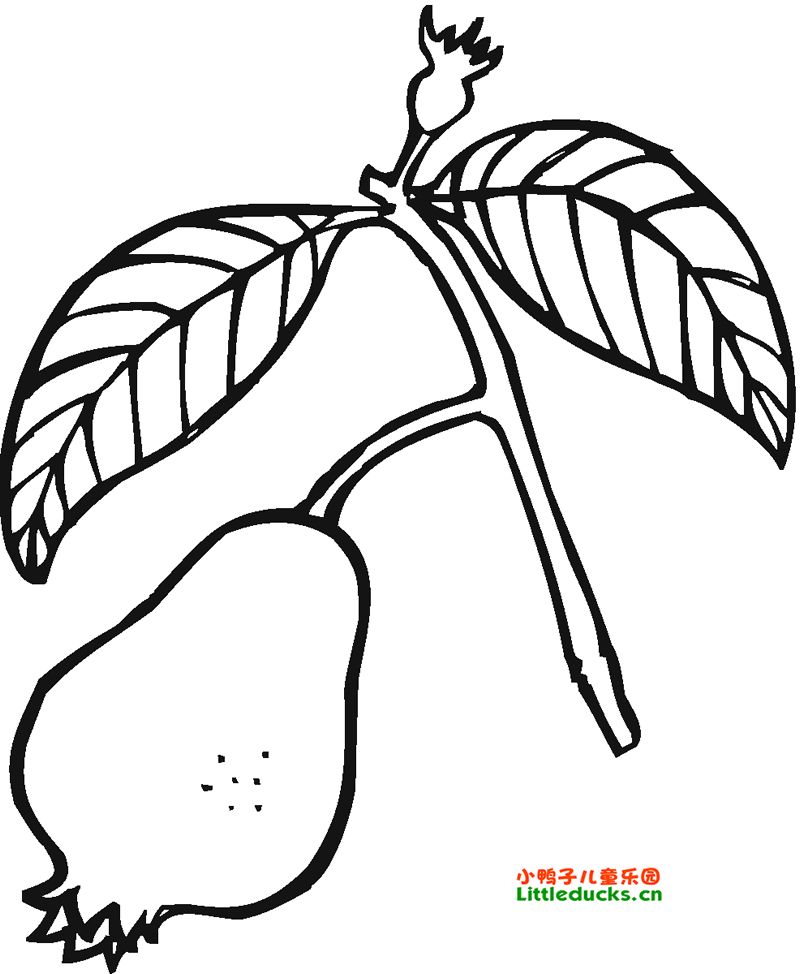 289 Cute Guava Juice Coloring Pages 
