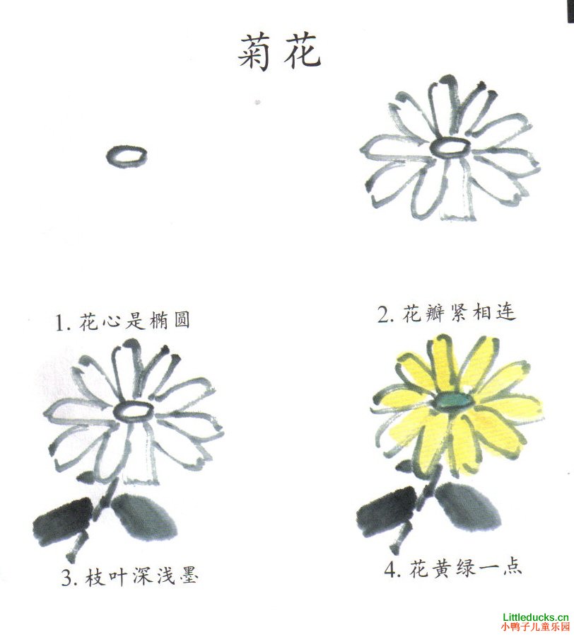 儿童学画国画花卉菊花图文介绍