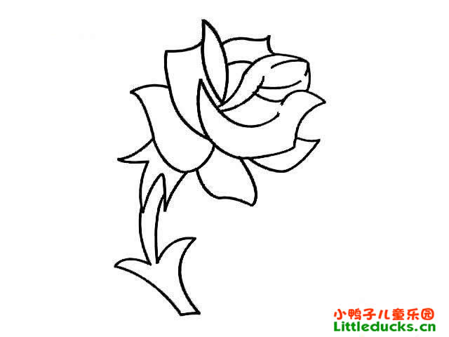 ¼ʻͼƬȫ(19)