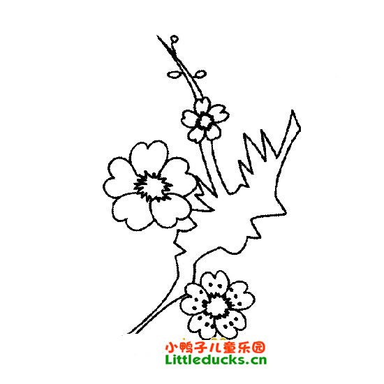 梅花简笔画图片大全26
