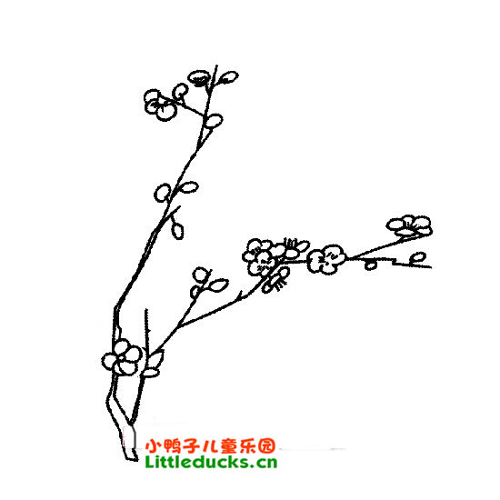 梅花简笔画图片