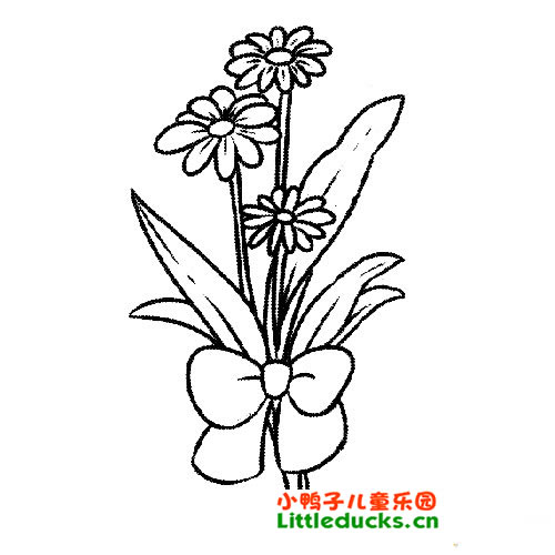 菊花简笔画图片