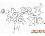 菊花简笔画图片大全(3)