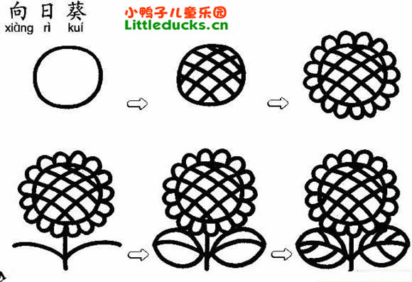 向日葵简笔画图片