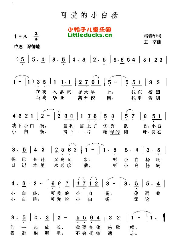 又唱小白杨简谱_又唱小白杨简谱