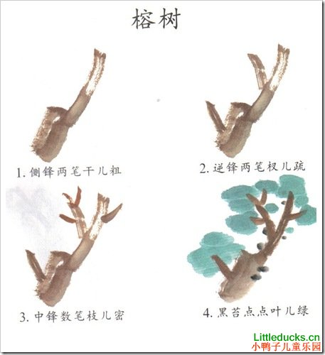 儿童学画国画榕树图文介绍