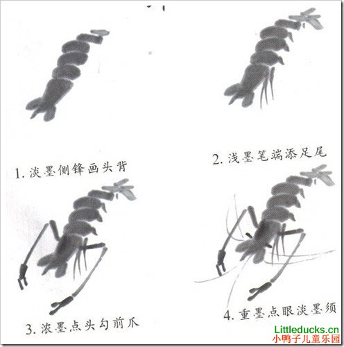 儿童学画国画虾的画法图文介绍