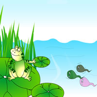 童话故事动画片:青蛙和小