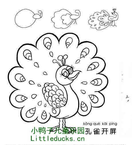 动物简笔画图片大全:美丽的孔雀简笔画1