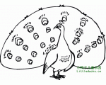 动物简笔画图片大全