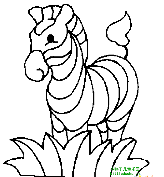 斑马的简笔画图片大全10