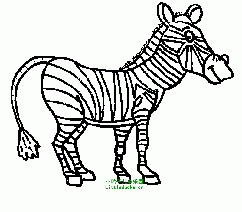 斑马的简笔画图片大全8