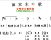 儿歌苗家木叶歌简谱
