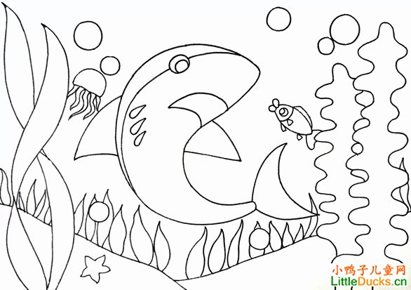 儿童学画画:油画棒画大鲨鱼绘制步骤