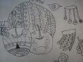 儿童画作品欣赏水果