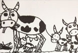 铅笔画图片大全-可爱的小奶牛
