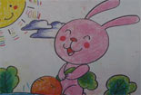 拔萝卜的小兔铅笔画图片