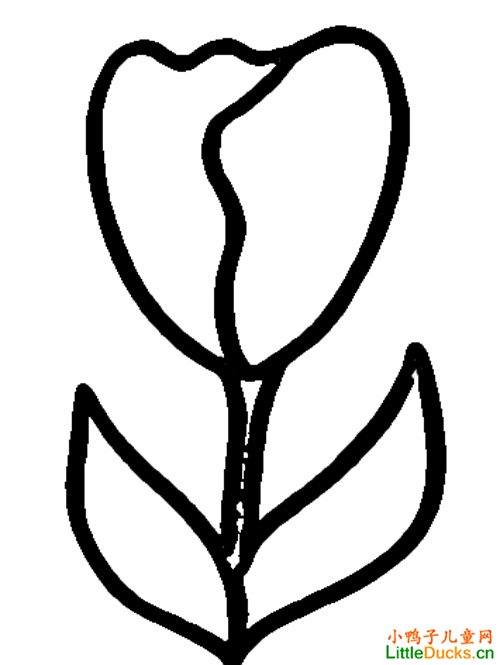 图 4