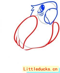 如何画鹦鹉简笔画图 4