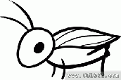 如何画蟋蟀 蟋蟀简笔画