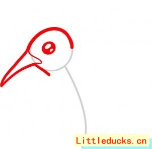 蜂鸟简笔画画法图 2