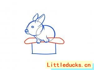 如何画帽子上的兔子简笔画图 9