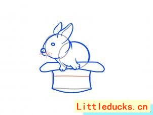 如何画帽子上的兔子简笔画图 11