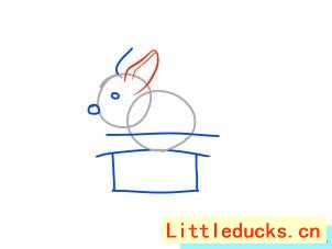 如何画帽子上的兔子简笔画图 4