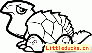 海龟简笔画步骤图 8
