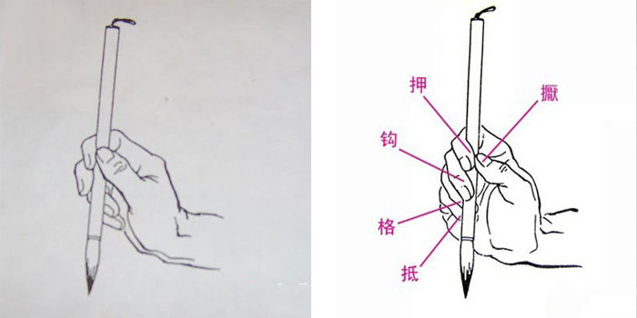 毛笔的合理握笔方法