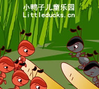 幼儿故事视频:红蚂
