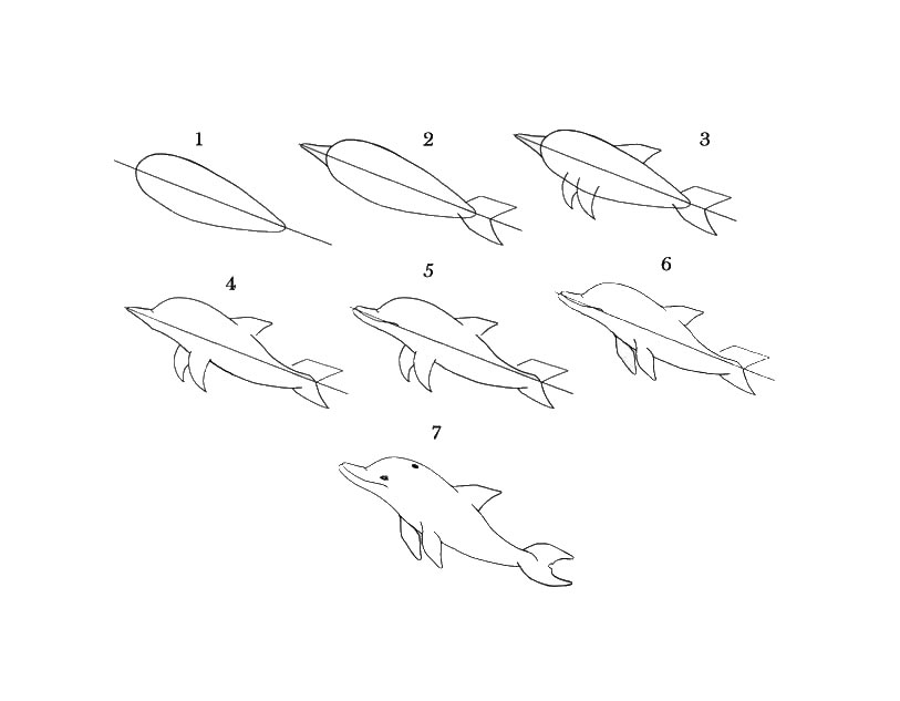 儿童简笔画教程海豚,调皮的海豚简笔画画法2
