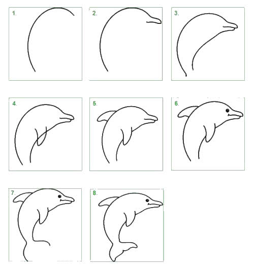 儿童简笔画教程海豚简笔画画法4