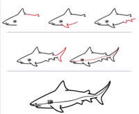 儿童简笔画鲨鱼简笔画教