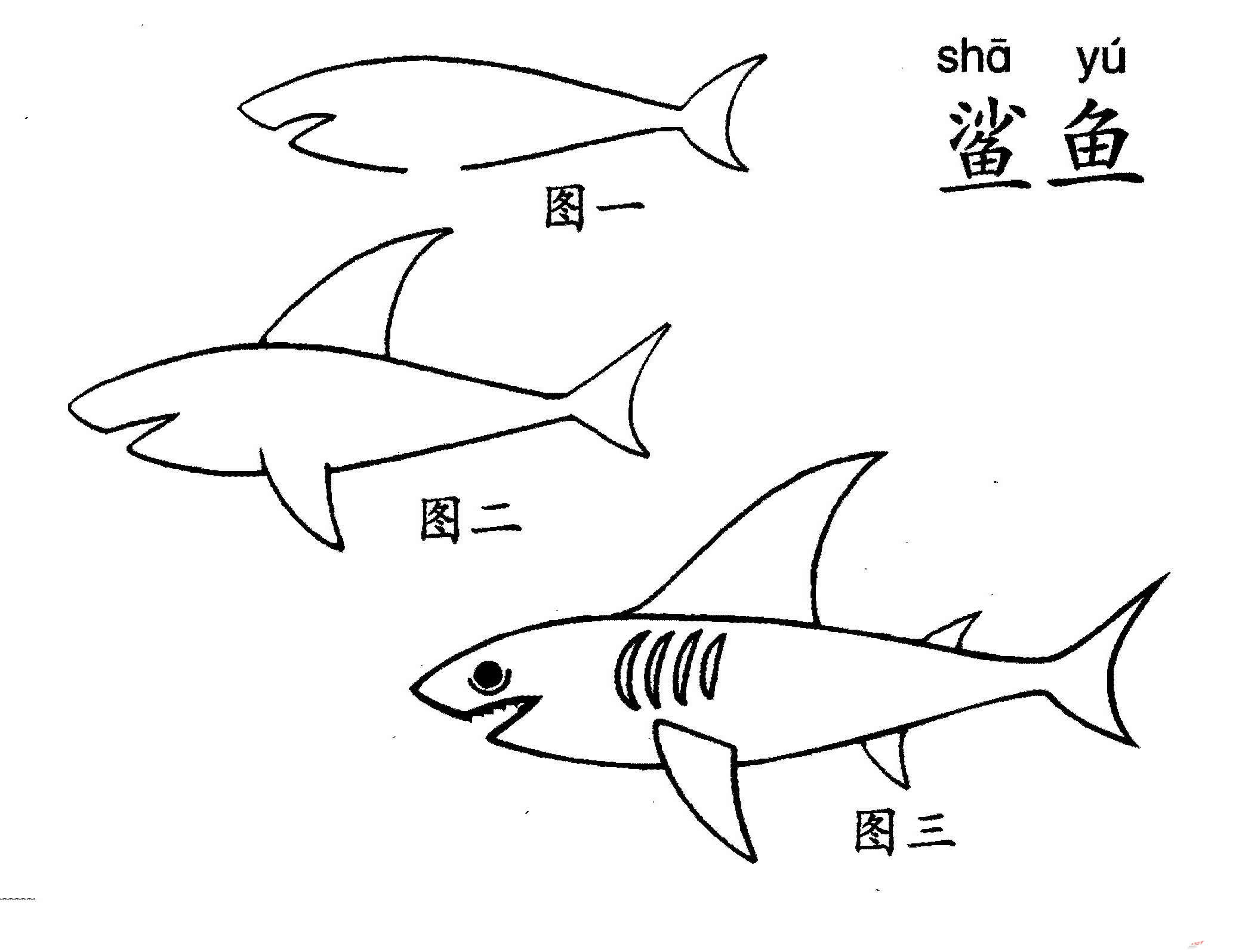 儿童简笔画鲨鱼简笔画教程二