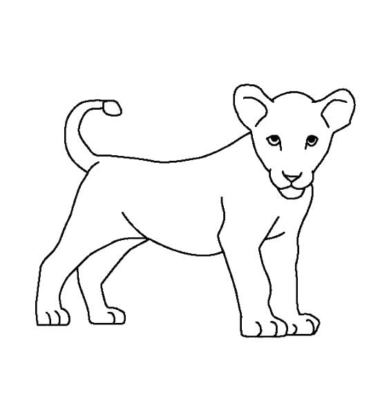 儿童简笔画教程:母狮子简笔画画法3