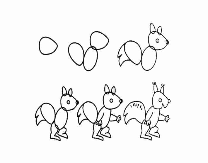 儿童简笔画教程一步一步画松鼠
