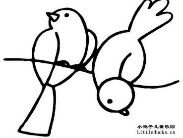 动物简笔画:小鸟简笔画