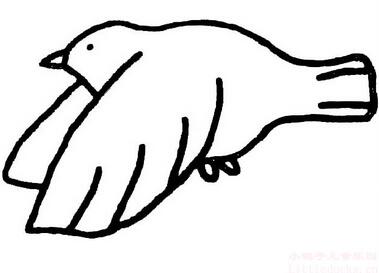 动物简笔画:小鸟简笔画