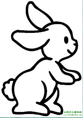 动物简笔画大全:小兔子